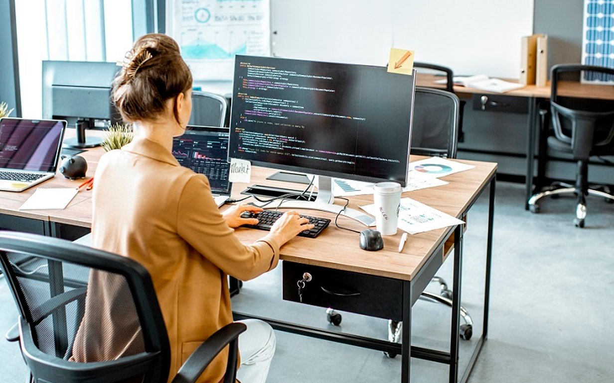 Asisten Pemrogram Junior